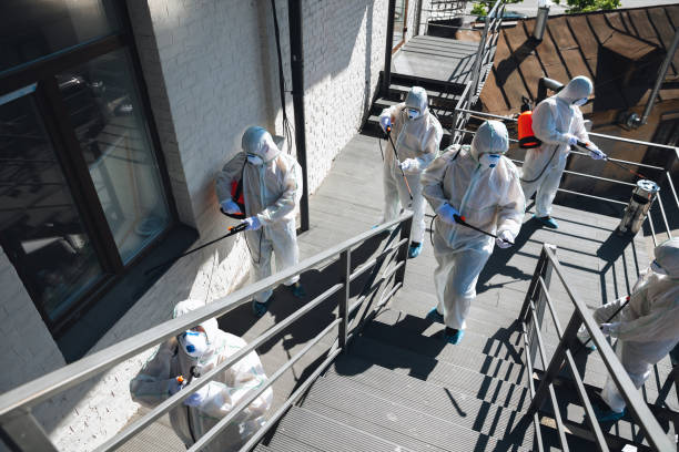  Erda, UT Mold Removal Pros