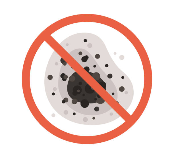 Best Black Mold Removal  in Erda, UT