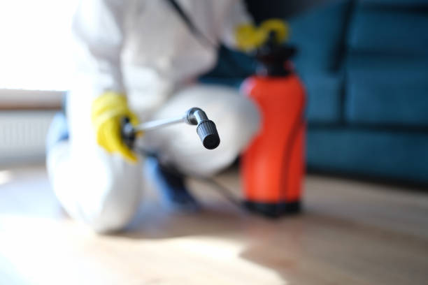 Best Forensic Mold Investigation  in Erda, UT