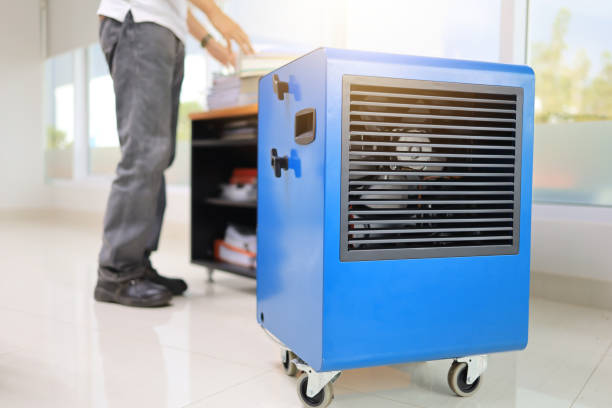Best Mold Damage Restoration  in Erda, UT