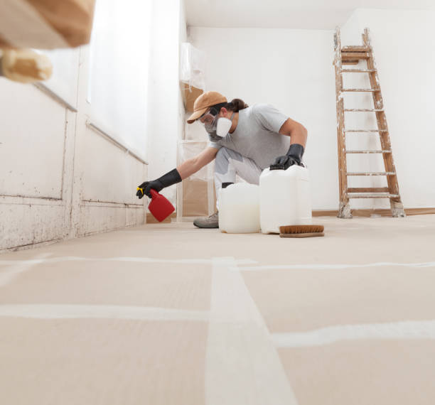 Environmental Consulting for Mold Prevention in Erda, UT